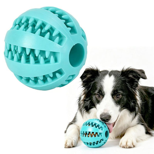 Dog Treat Dispenser Ball – Teal, 2-Pack