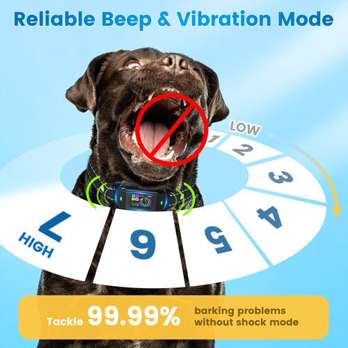 Anti-Bark Collar – Black