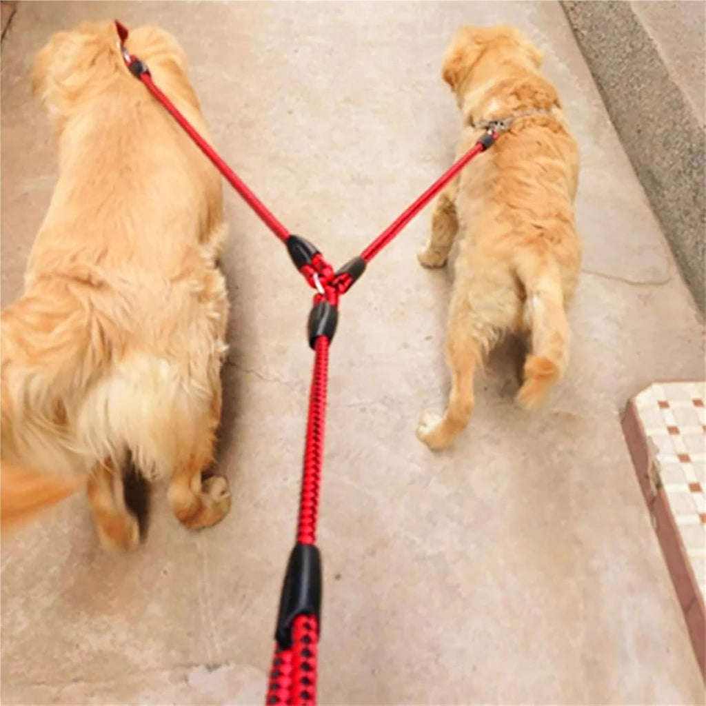 Dog Lead & Collar Set – Black / Blue