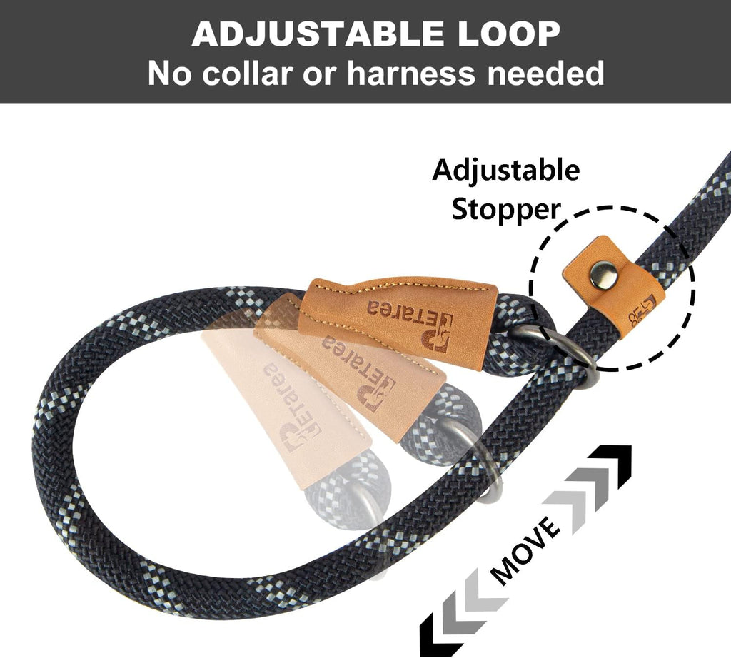Slip Lead Dog Leash – Black