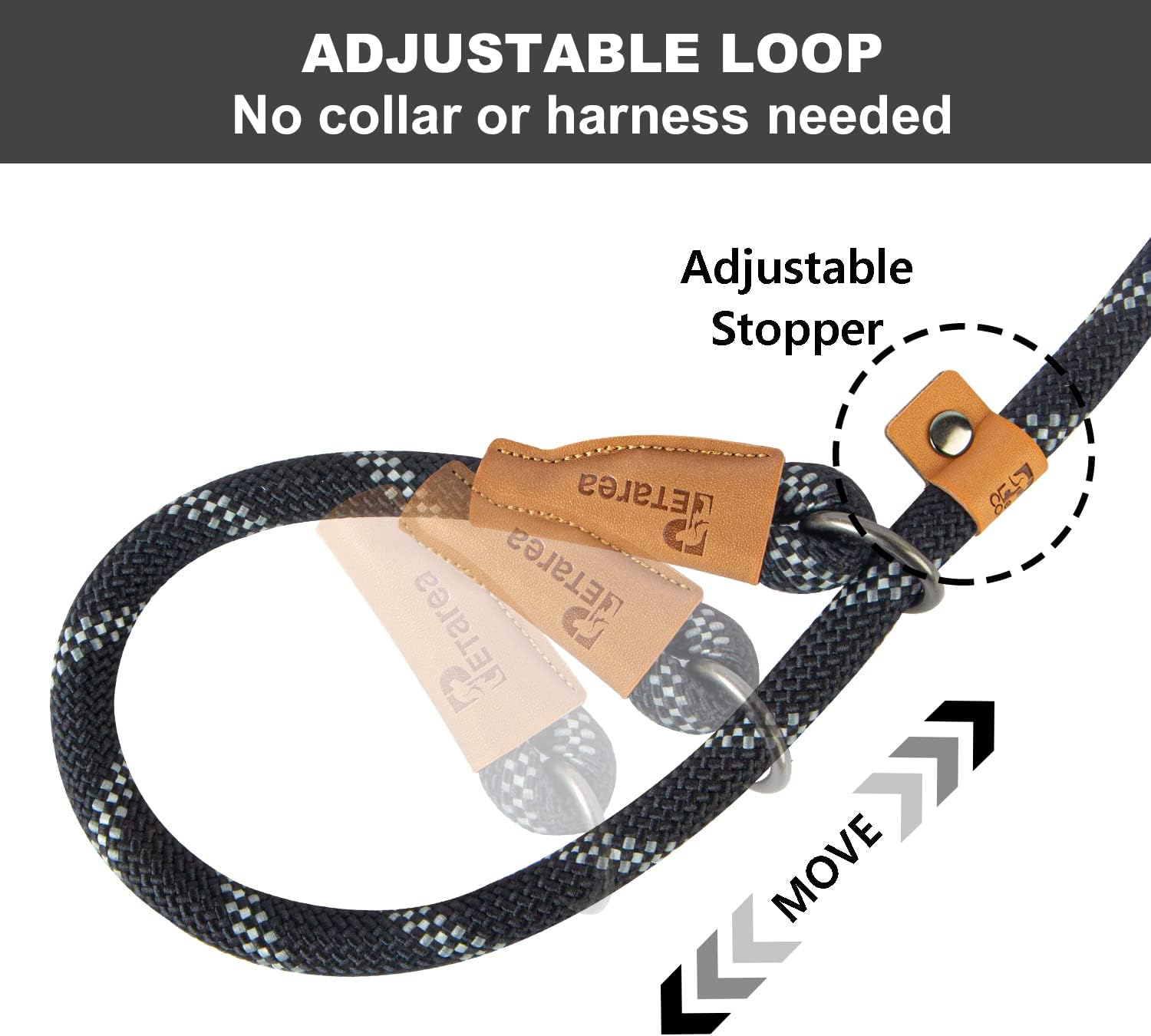 Slip Lead Dog Leash – Black