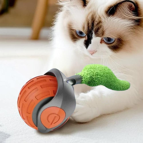 Auto-Moving Cat Ball Toy – 3 Pack