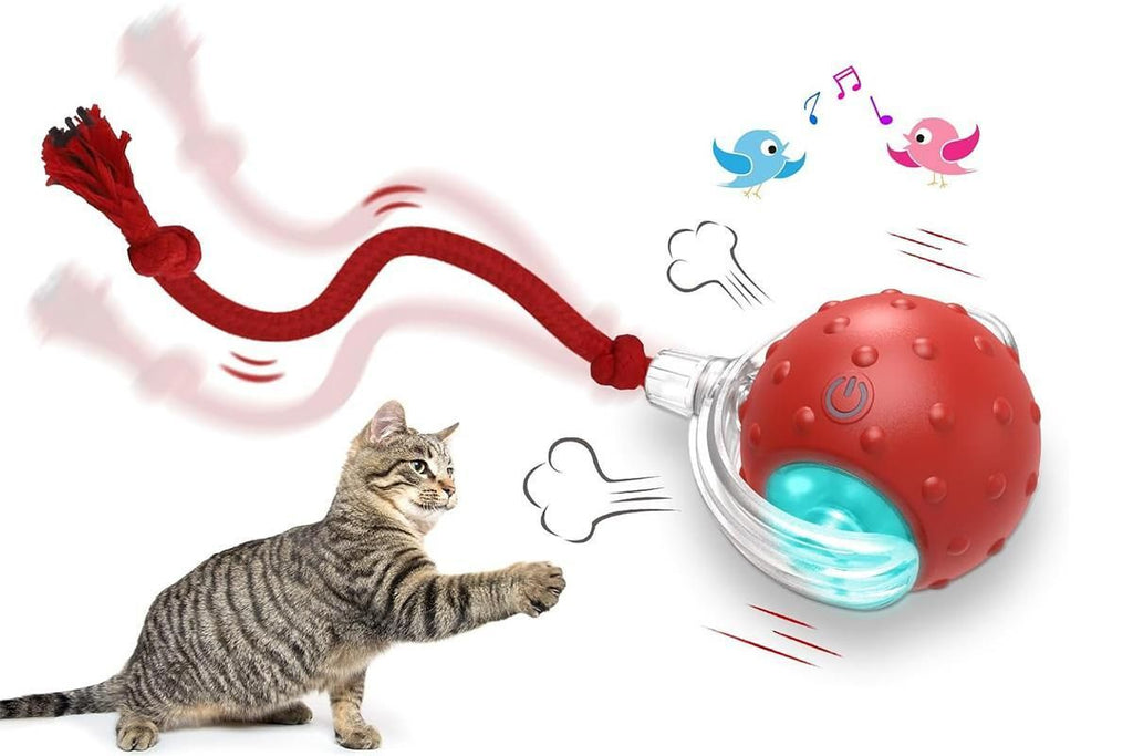 Motion-Activated Cat Toy Ball – Red