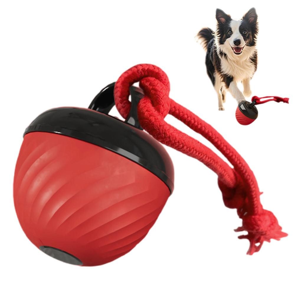 Squeaky Rolling Dog Ball Toy – Red