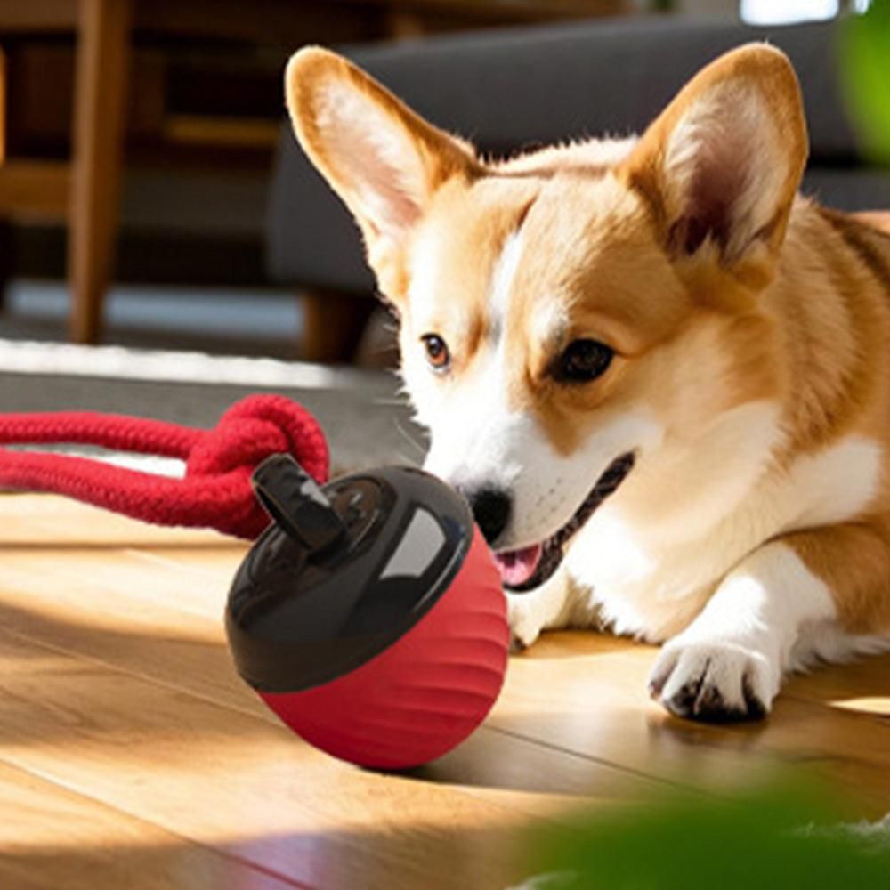 Squeaky Rolling Dog Ball Toy – Red