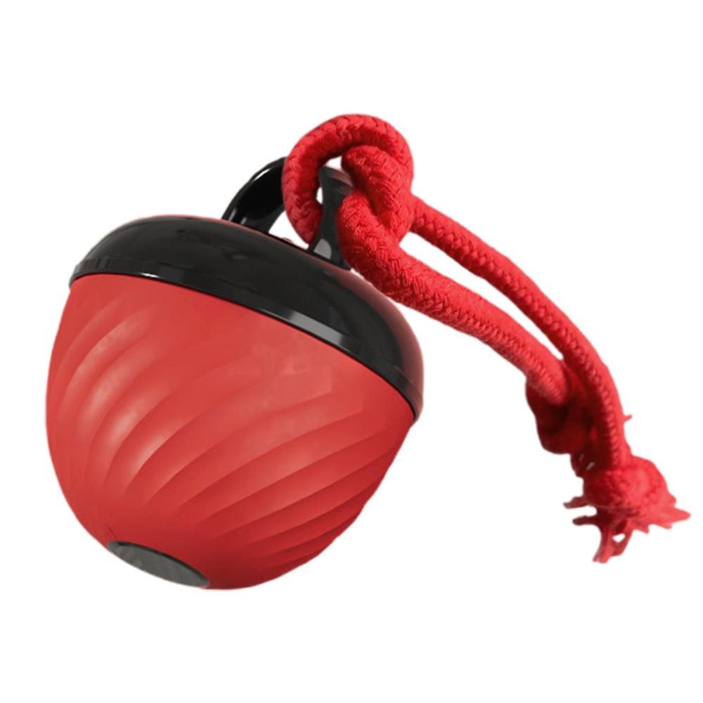 Squeaky Rolling Dog Ball Toy – Red