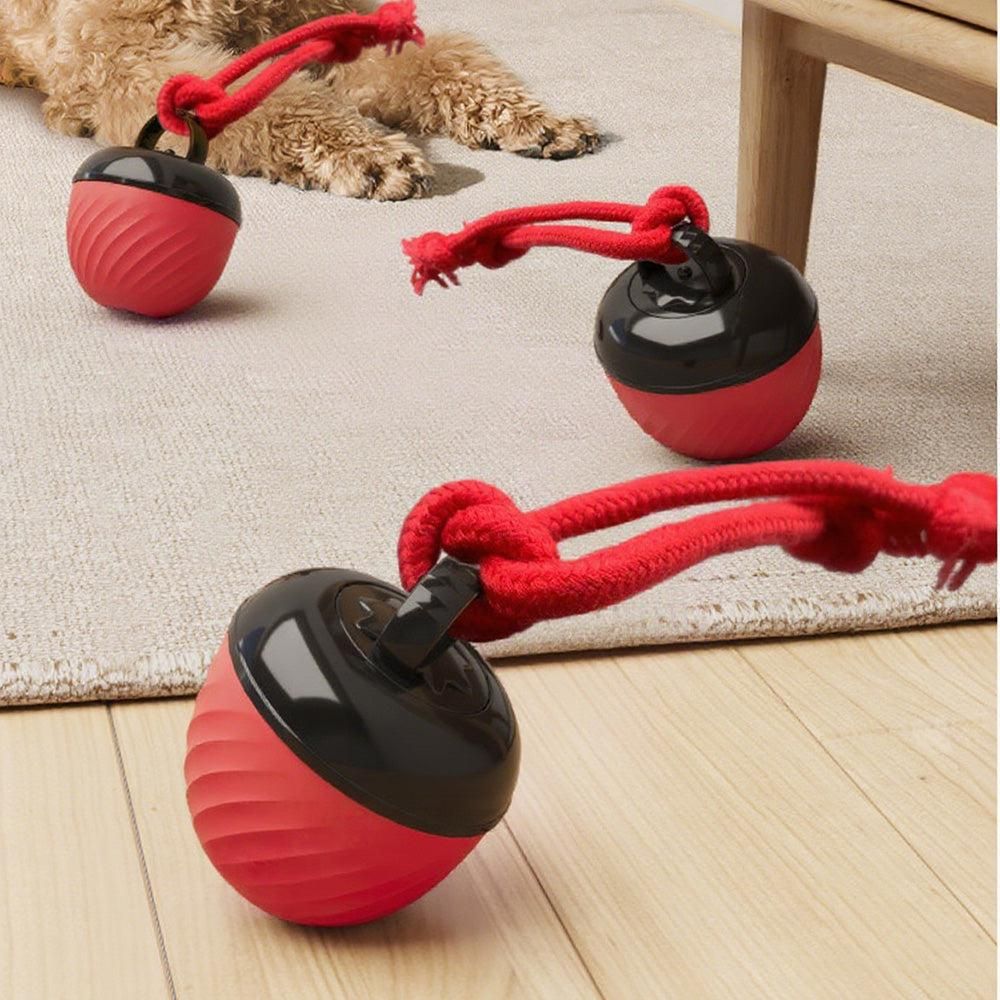 Squeaky Rolling Dog Ball Toy – Red