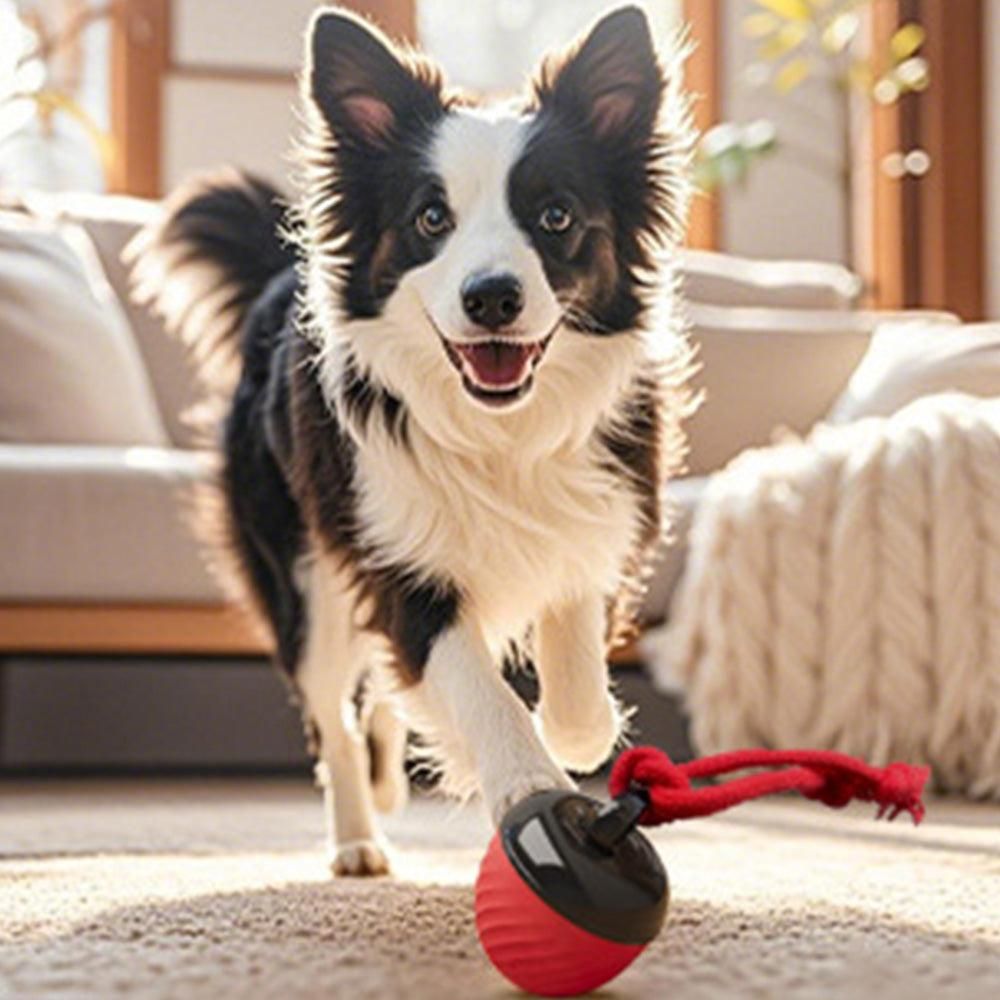Squeaky Rolling Dog Ball Toy – Red