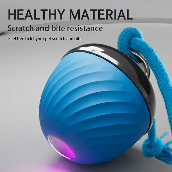 Electric Rolling Pet Ball – Blue