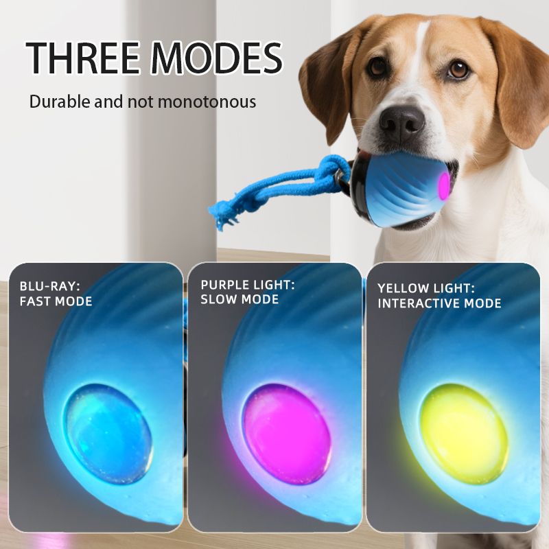 Electric Rolling Pet Ball – Blue