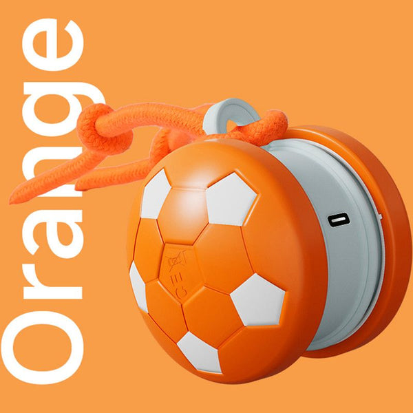 Self-Rolling Pet Ball – Orange