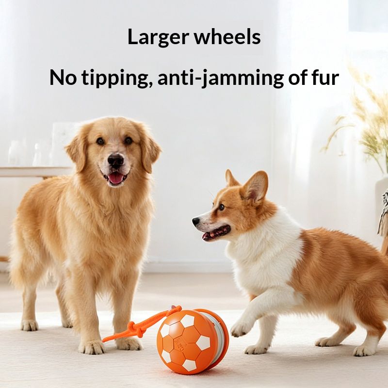Self-Rolling Pet Ball – Blue