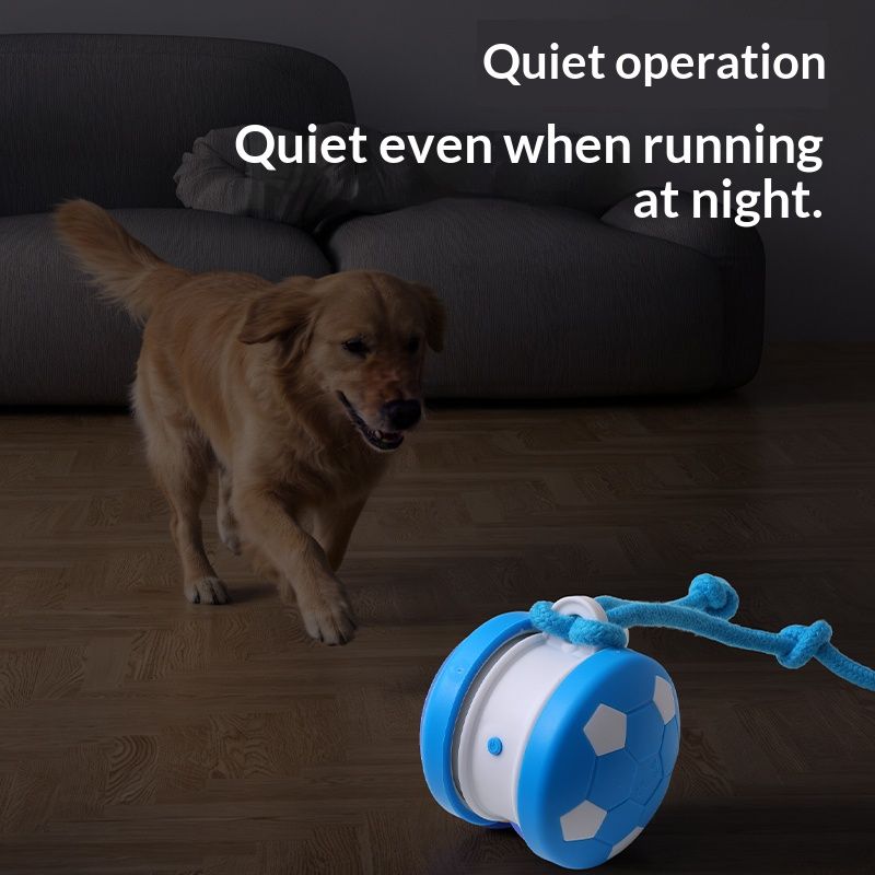 Self-Rolling Pet Ball – Blue