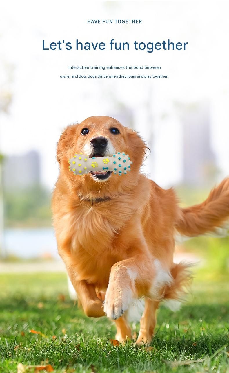 Squeaky Bone Dog Toy
